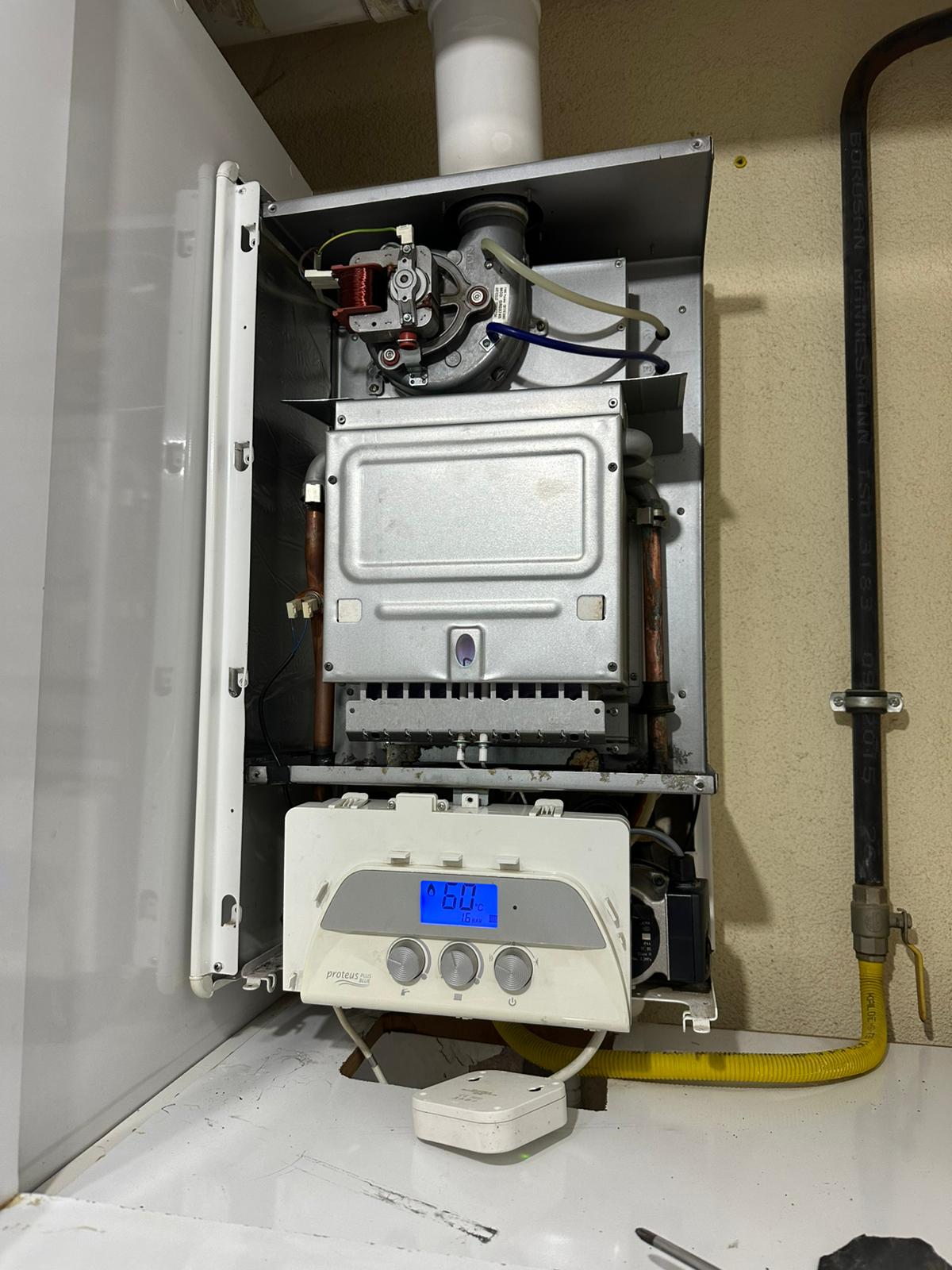 Petek Temizliği Çalışması 6